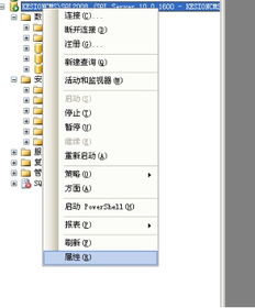 在線網校v5教程 程序數據庫安裝說明 手工還原數據庫圖文說明 安裝方法2