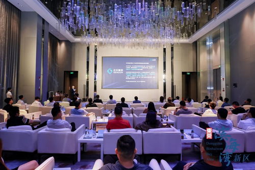 共謀灣區(qū)未來發(fā)展,東莞濱海灣機(jī)器視覺與高端裝備投資合作交流會成功舉辦