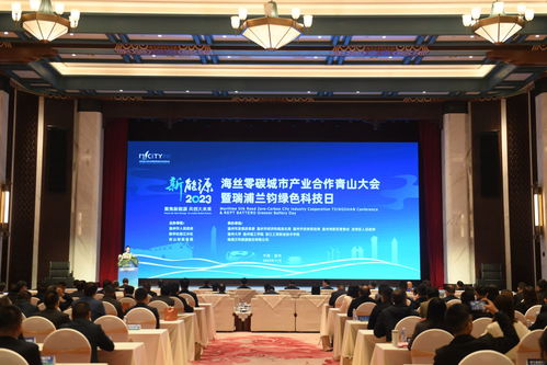 海絲零碳城市產(chǎn)業(yè)合作青山大會在溫州召開