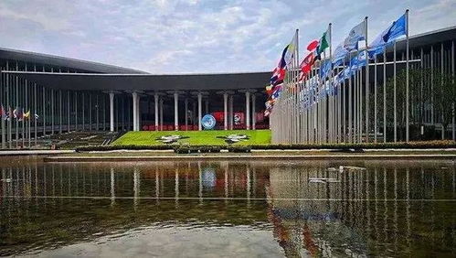 與世界共享農(nóng)業(yè)未來(lái) 世界農(nóng)產(chǎn)品點(diǎn)亮中國(guó)進(jìn)博會(huì)